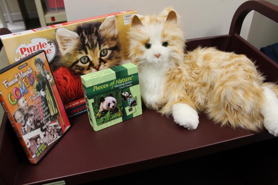 A kit including lifelike toy cat, comedy DVD, puzzle, and matching game.