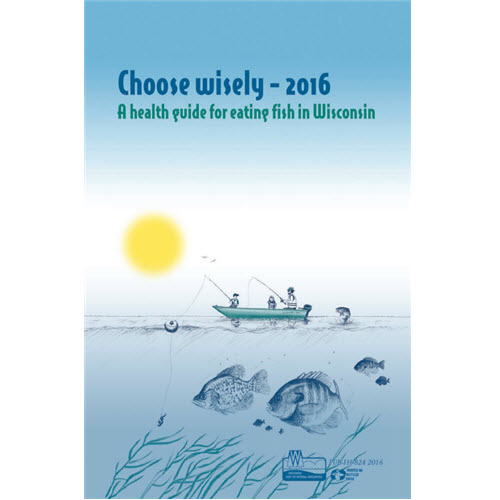 Cover of Choose Wisely 2016