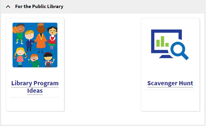 Screenshot of the Public Library section on For Library Staff page