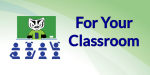 BadgerLink for your classroom